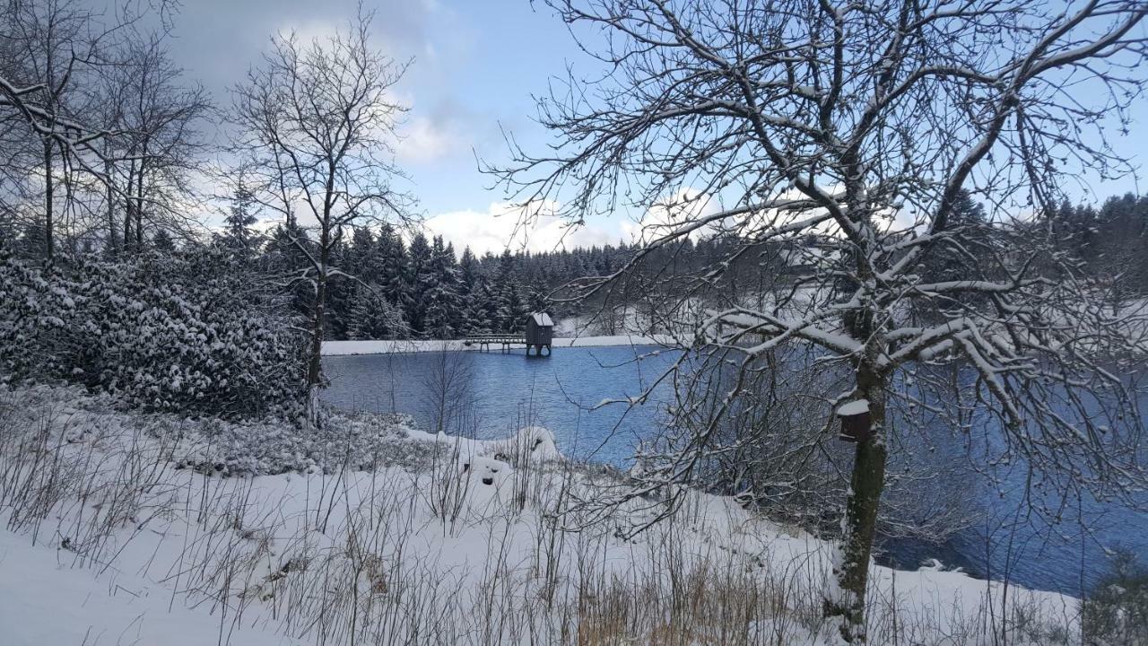 Hahnenklee Ferienpark 1-411 Goslar Esterno foto